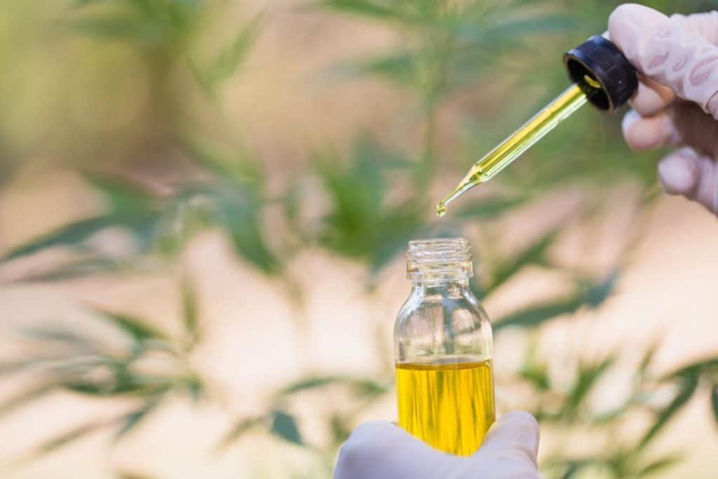 cbd and cancer