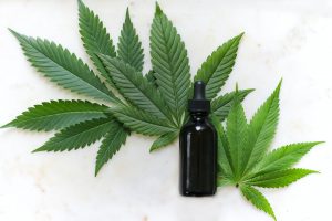 Hemp Oil vs CBD Oil – What is the difference?